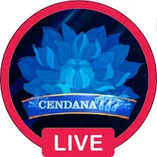 CENDANA777 - Aplikasi Sportsbook Terbaik untuk Petarung Sejati